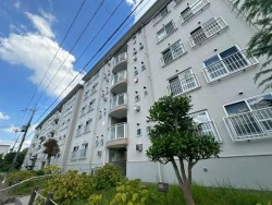 令和6年2月フルリノベーション済♪
阪急長岡天神駅徒歩約11分！
南向きバルコニーで陽当り、4階部分なので通風も良好です！
