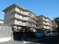 分譲賃貸です★リビング広々20帖★
システムキッチン付きです!