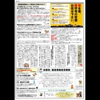 レンタ新聞★46号